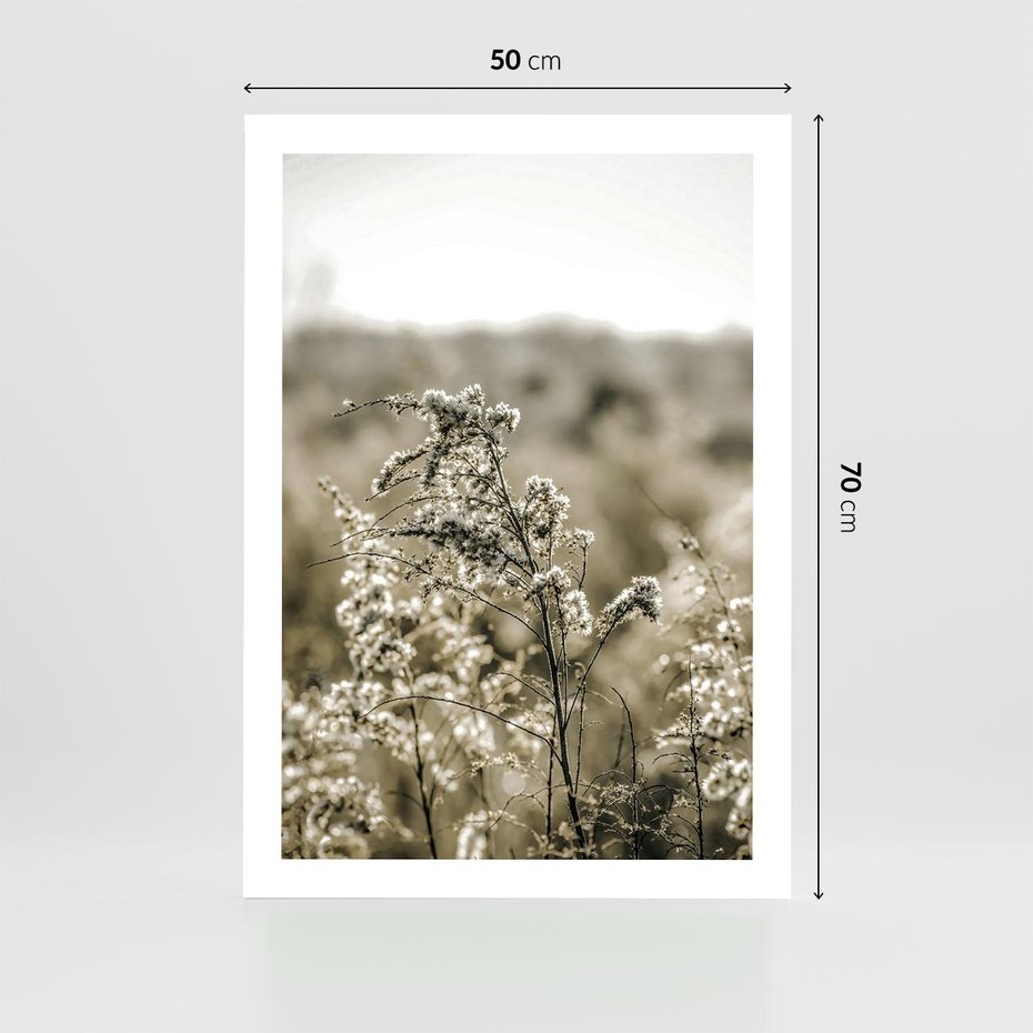 Plakat bez ramy 50x70 - Pampas i Bocho - suche trawy, bocho