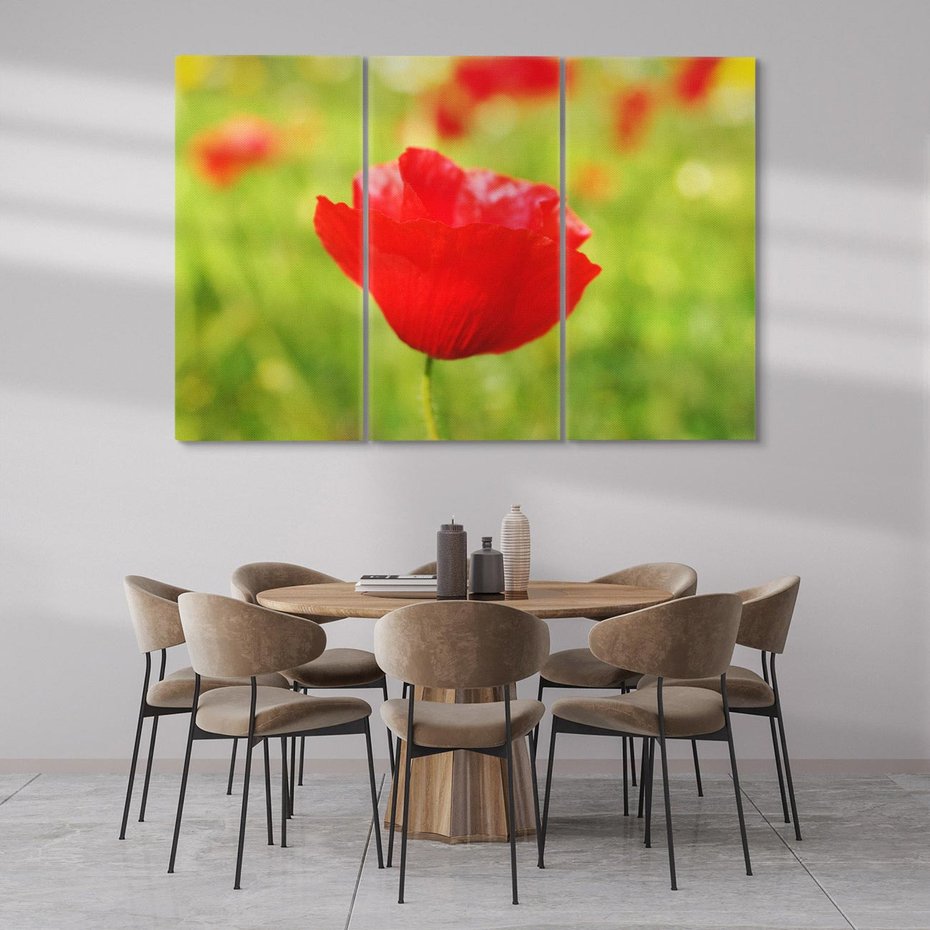 Obraz na płótnie 120x80 - Magia maku na łące - mak, łąka