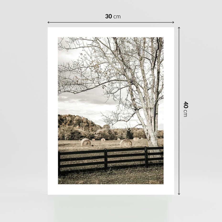 Plakat bez ramy 30x40 - Drzewa i Snopki Siana - farma, drzewa