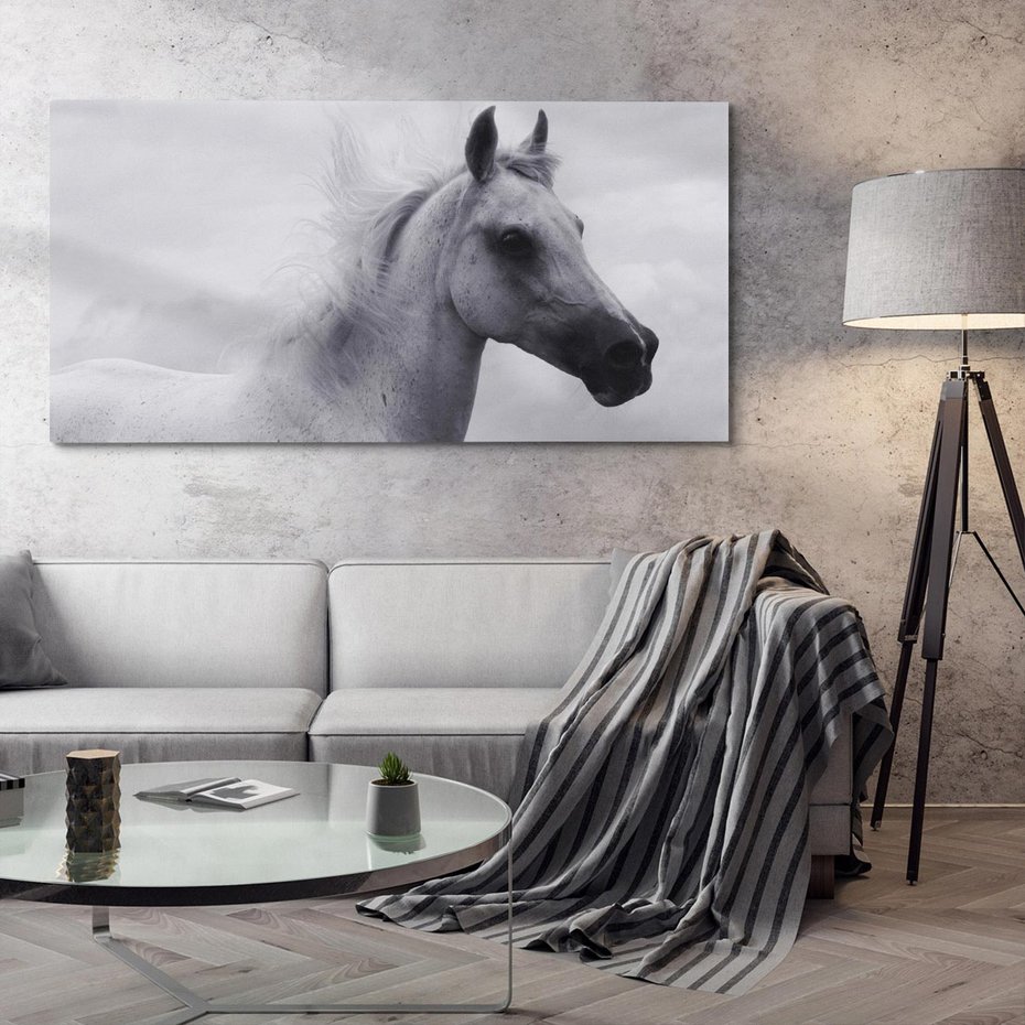 Obraz na płótnie 120x60 - Moc i Wolność - czarno biała fotografia, biały