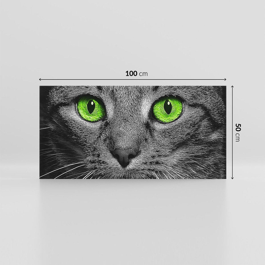 Obraz na płótnie 100x50 - Przestreń nautra doznania - kot, kotek