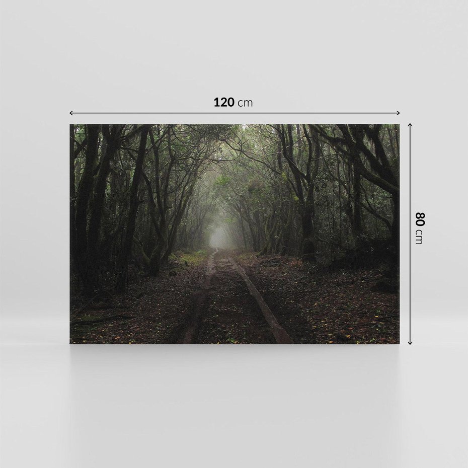 Obraz na płótnie 120x80 - Urok Drogi - las, droga