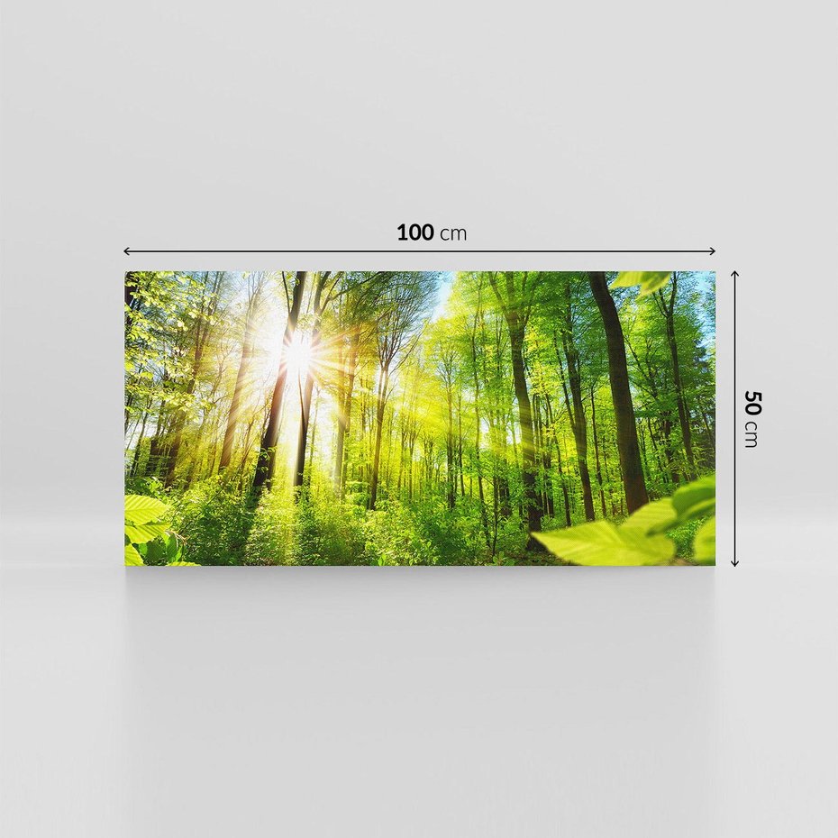 Obraz na płótnie 100x50 - Magia Leśnej Przyrody - las, drzewa
