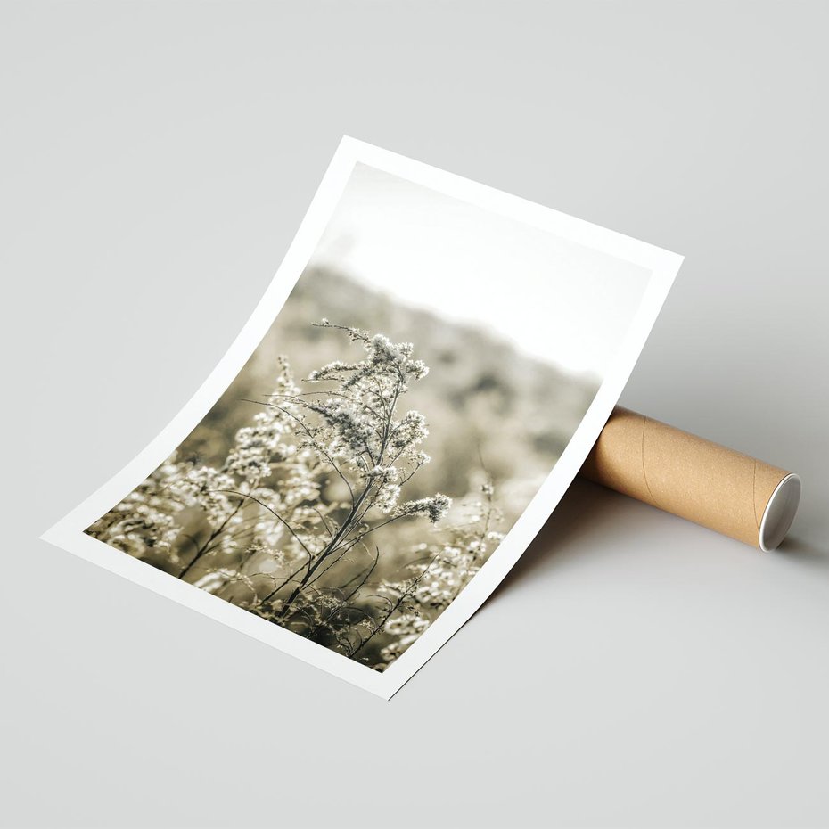 Plakat bez ramy 40x50 - Pampas i Bocho - suche trawy, bocho