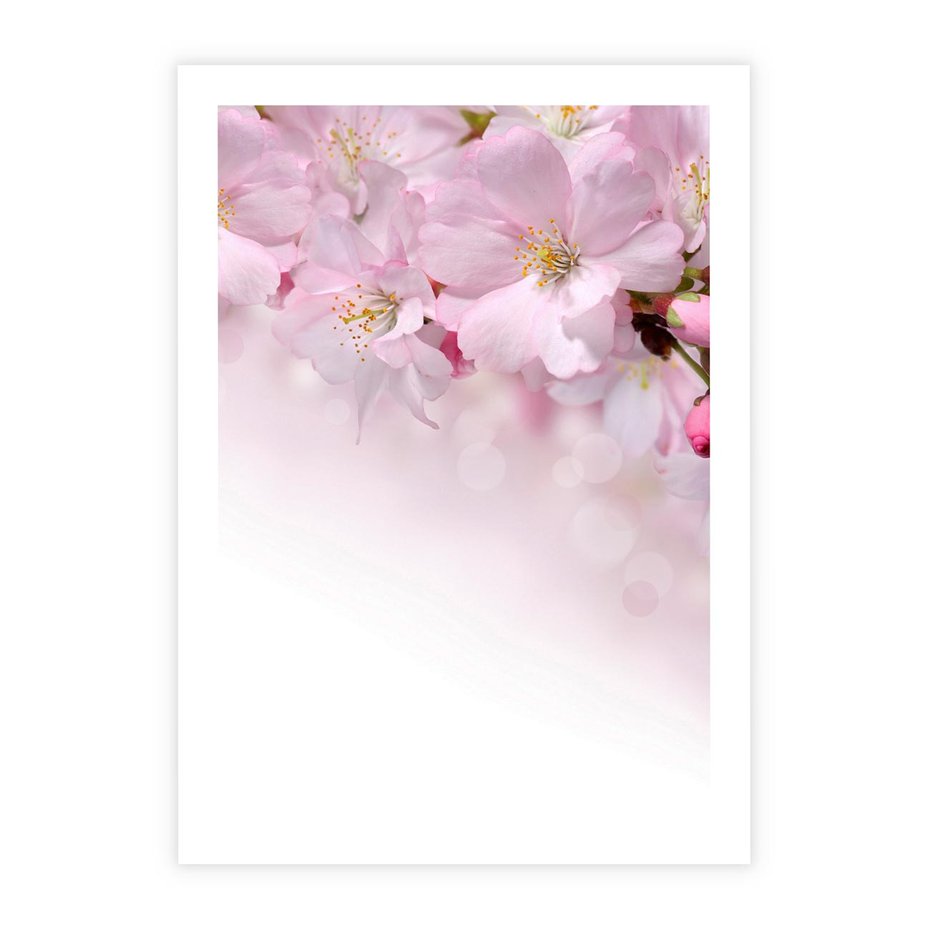 Plakat bez ramy 50x70 - Kwitnąca Wiśnia - kwiaty, kwitnącej