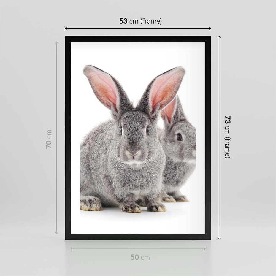 Plakat w ramie 50x70 - Uroczy królik wśród natury - królik, zając - rama czarna