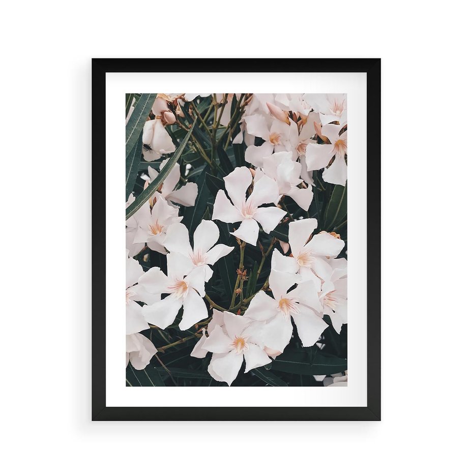 Plakat w ramie 40x50 - Egzotyczna Uroda - białe kwiaty, tropikalne kwiaty - rama czarna