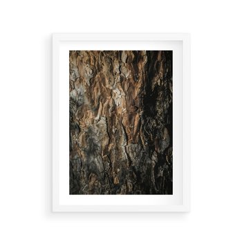 Plakat w ramie 30x40 - Tekstura Drewna: Zbliżenie - zbliżenie na pień drzewa, tekstura - rama biała