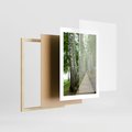 Plakat w ramie 30x40 - Spacer ścieżką przez brzozowy las - las, ścieżka - rama drewno