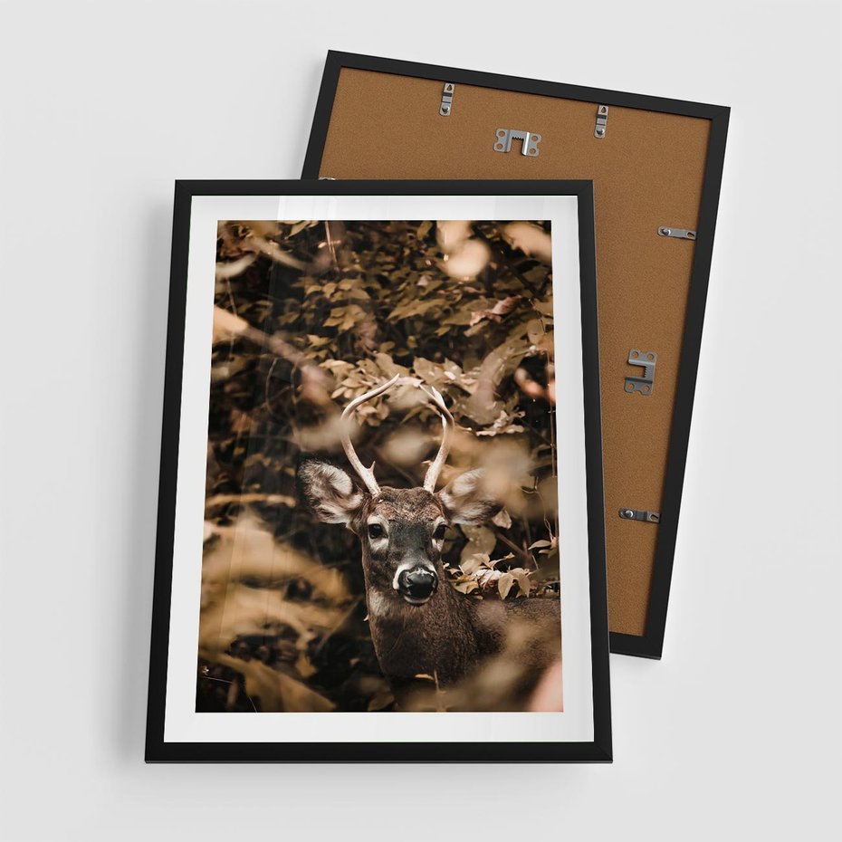 Plakat w ramie 50x70 - Jesienny Jeleń w Lesie - jeleń, w lesie - rama czarna