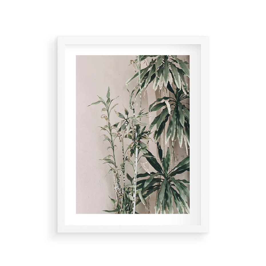 Plakat w ramie 30x40 - Egzotyczna Kompozycja - liście, rośliny tropikalne na tle ściany - rama biała