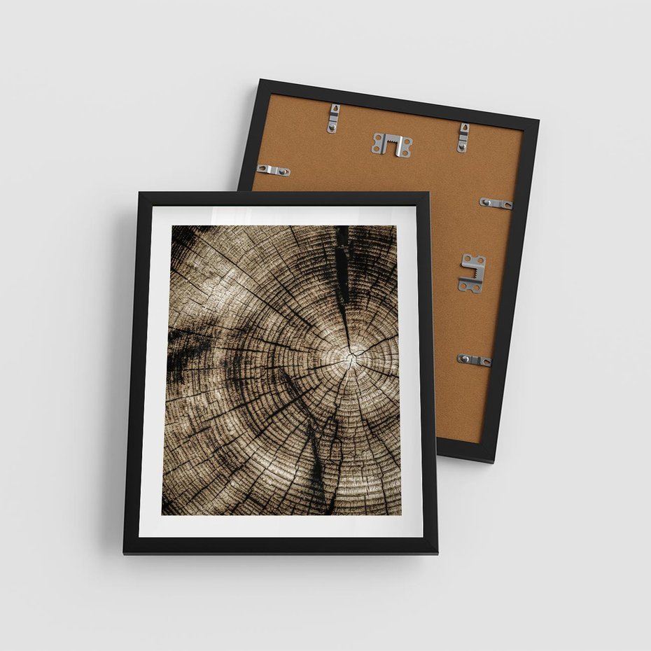 Plakat w ramie 40x50 - Natura Pod Lupą - pień drzewa, przekrój - rama czarna