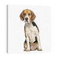 Obraz na płótnie 30x30 - Wierność i radość - pies, piesek