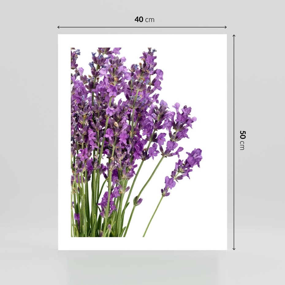Plakat bez ramy 40x50 - Pola lawendy w pełnym rozkwicie - lawenda, kwiaty