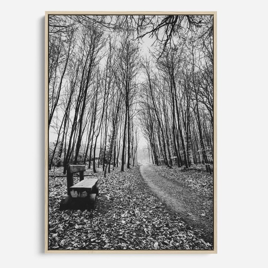 Obraz w ramie 50x70 - Spadające Liście - czarno białe zdjecie, park - rama drewno