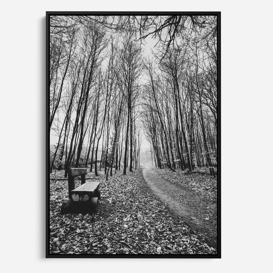 Obraz w ramie 50x70 - Spadające Liście - czarno białe zdjecie, park - rama czarna