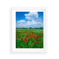 Plakat w ramie 40x50 - Kolorowa łąka pełna maku - łąka, maki - rama biała