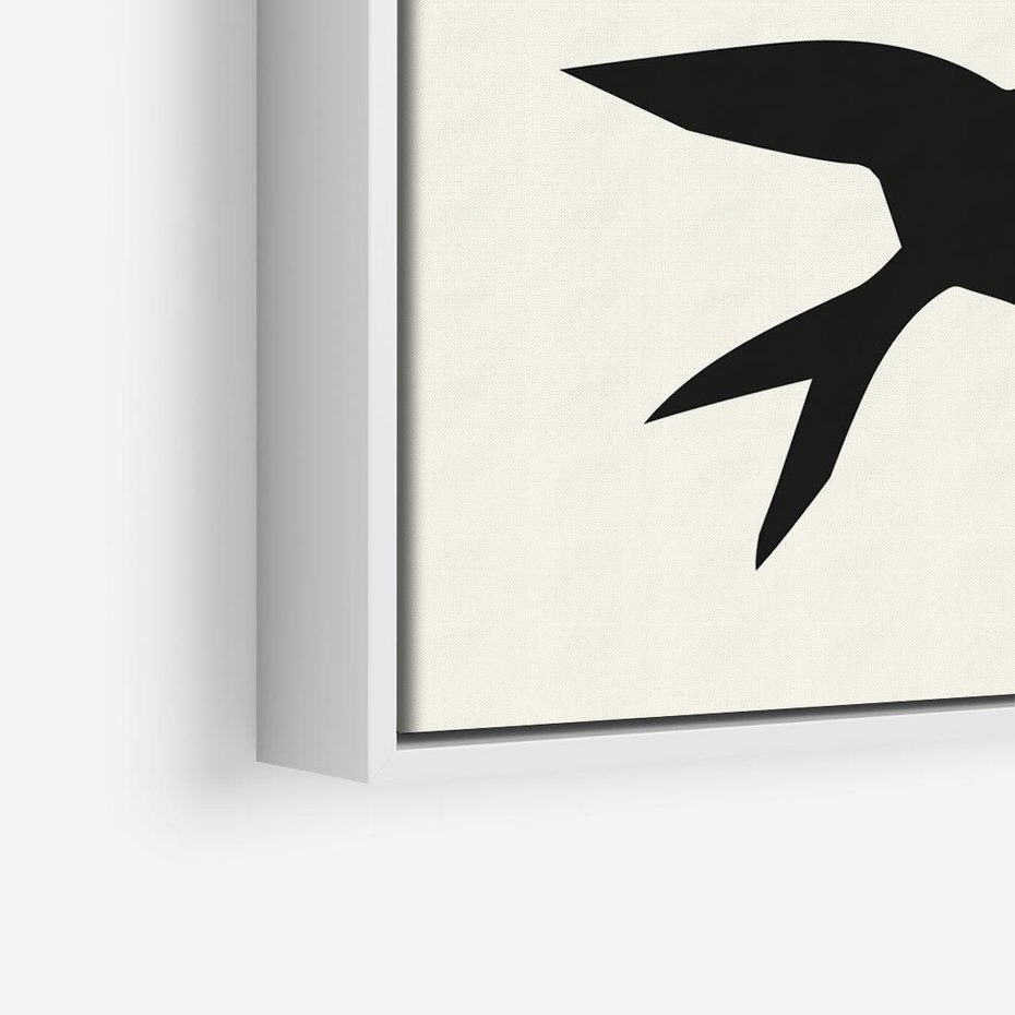 Obraz w ramie 50x50 - Kreatywne Echa - jaskółki, minimalizm - rama biała