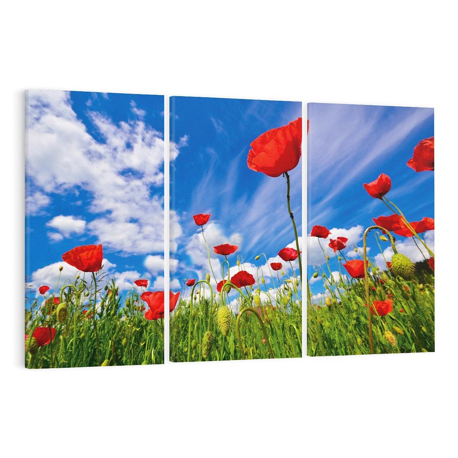 Obraz na płótnie 120x80 - Soczyste Kolory Przyrody - mak, maki