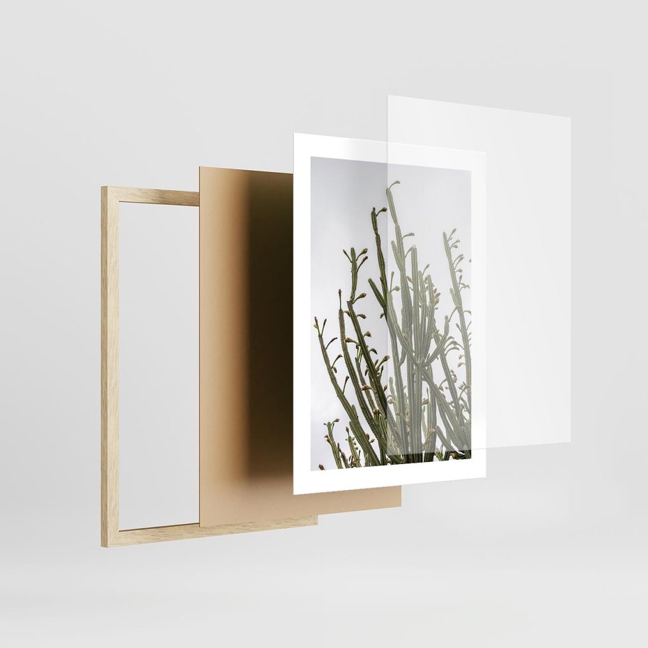 Plakat w ramie 30x40 - Ekskluzywna Roślinność - kaktusy, liście - rama drewno