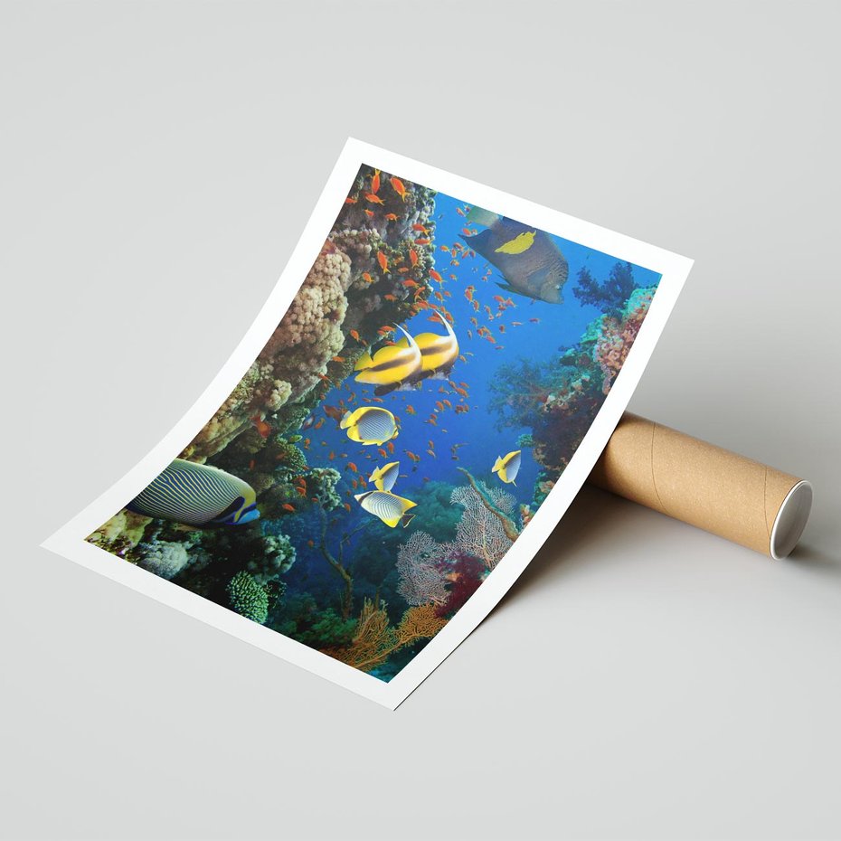 Plakat bez ramy 40x50 - Podwodne królestwo rafy koralowej - rafa, koralowa