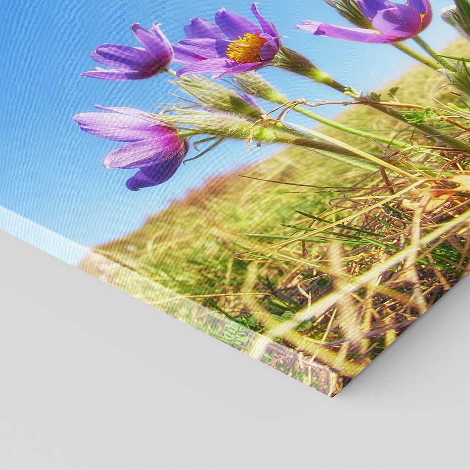 Obraz na płótnie 70x70 - Kwiatowa siła łąki - kwiaty, łąka