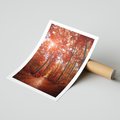Plakat bez ramy 30x40 - Magia jesiennego lasu - las, jesień