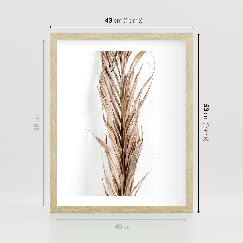 Plakat w ramie 40x50 - Minimalizm Palmowy: Sucha Uroda - sucha palma, minimalizm - rama drewno