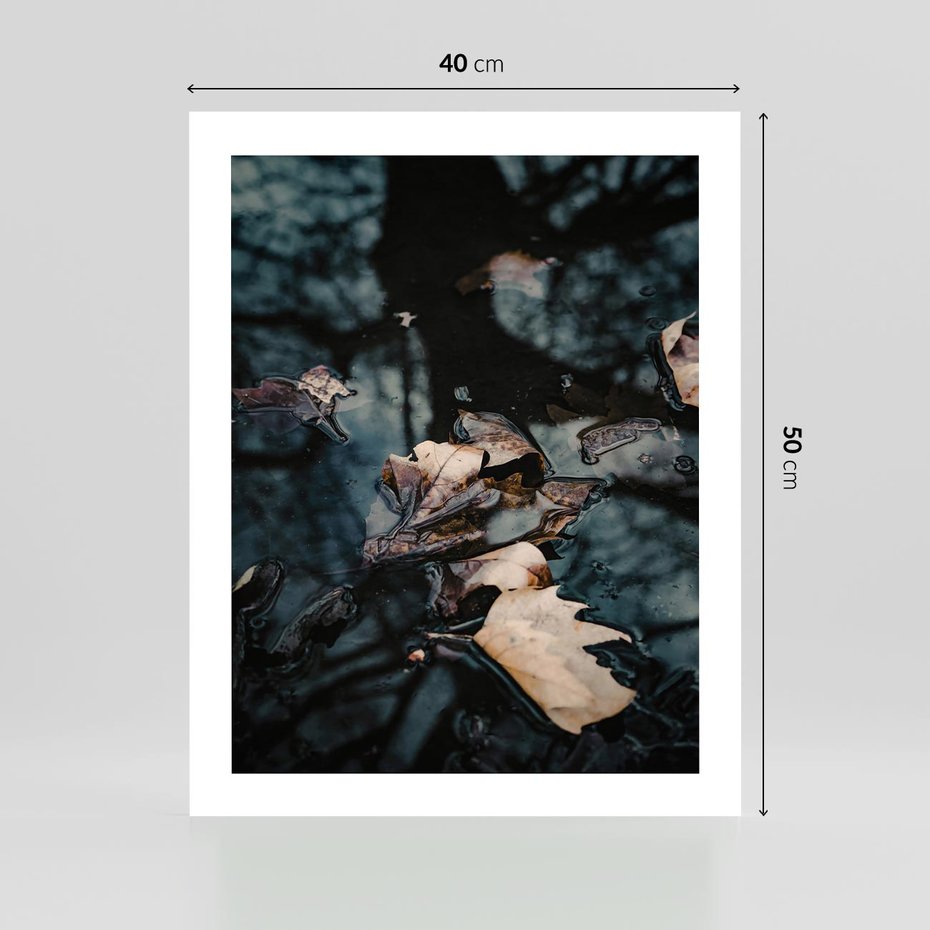 Plakat bez ramy 40x50 - Jesienne Liście w Kałużach: Odbicie Natury - jesienne liście wkałuży, fotografia