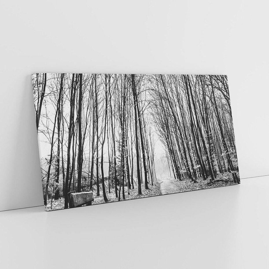 Obraz na płótnie 120x60 - Spadające Liście - czarno białe zdjecie, park