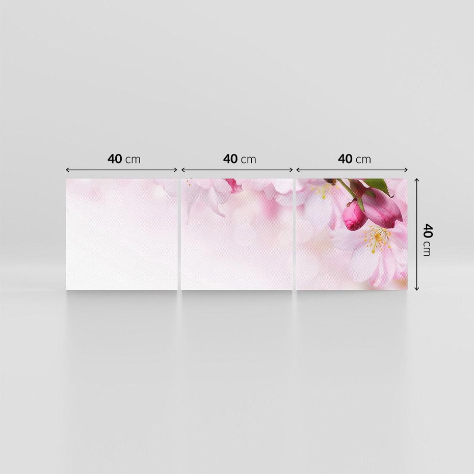 Obraz na płótnie 120x40 - Kwitnąca Wiśnia - kwiaty, kwitnącej