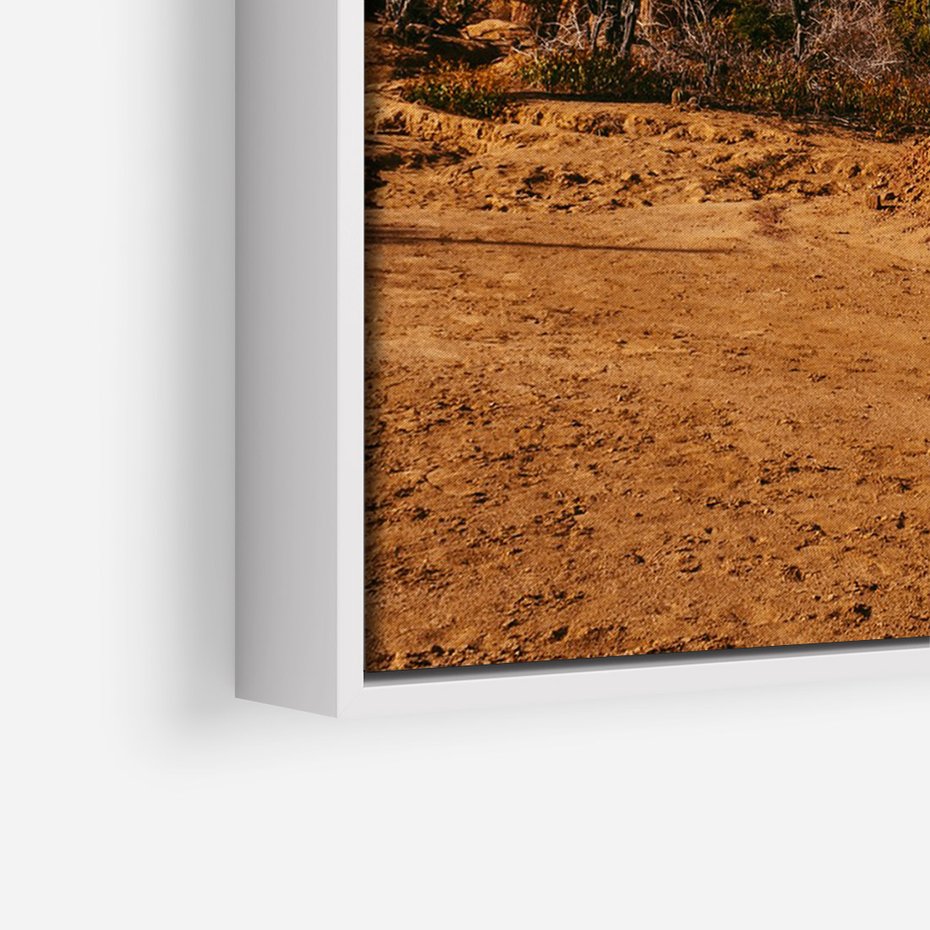 Obraz w ramie 80x120 - Skarby Pustynnego Kanionu - pustynia, kaktusy - rama biała