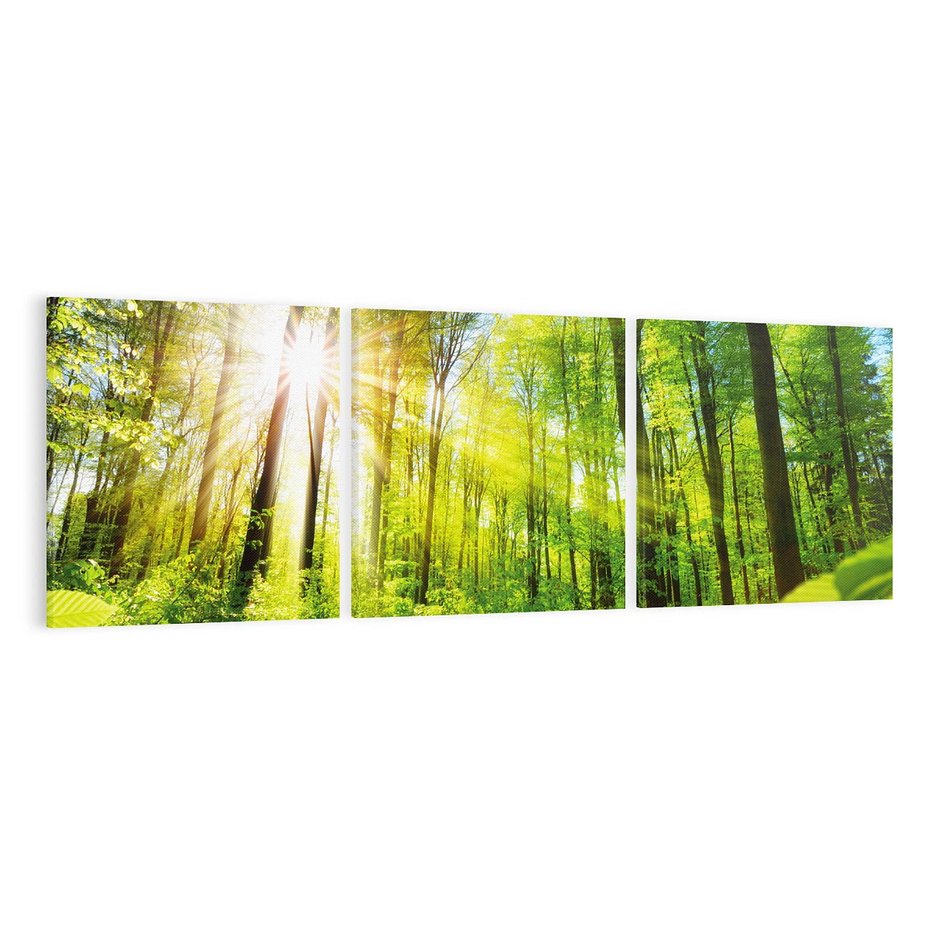 Obraz na płótnie 120x40 - Magia Leśnej Przyrody - las, drzewa