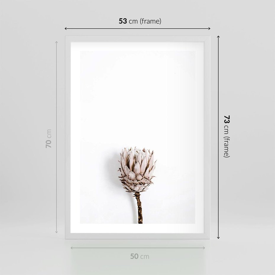 Plakat w ramie 50x70 - Suszona Roślina na Białym Tle - minimalizm, suszona roślina - rama biała