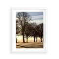 Plakat w ramie 40x50 - Siła natury - drzewa, pole - rama biała