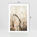 Plakat bez ramy 50x70 - Źdźbło Pszenicy: Blisko Natury - źdźbło pszenicy, pszenica