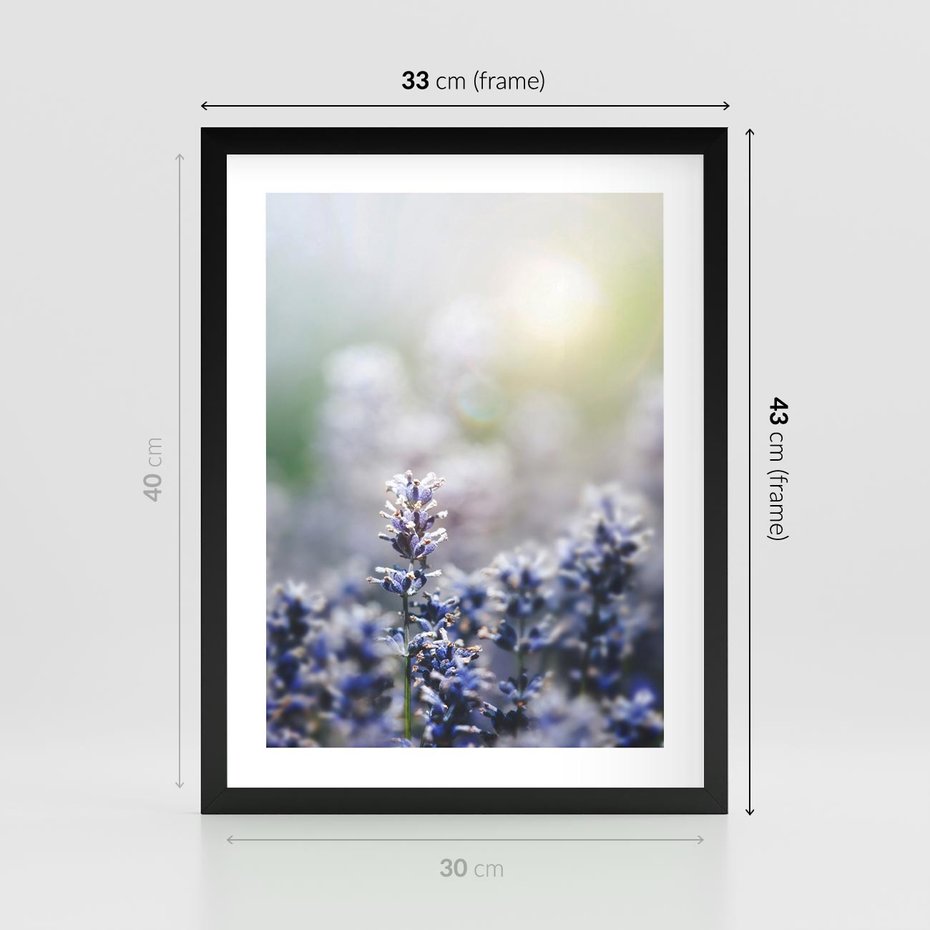 Plakat w ramie 30x40 - Delikatna Uroda Natury - wrzosy, fiolet - rama czarna