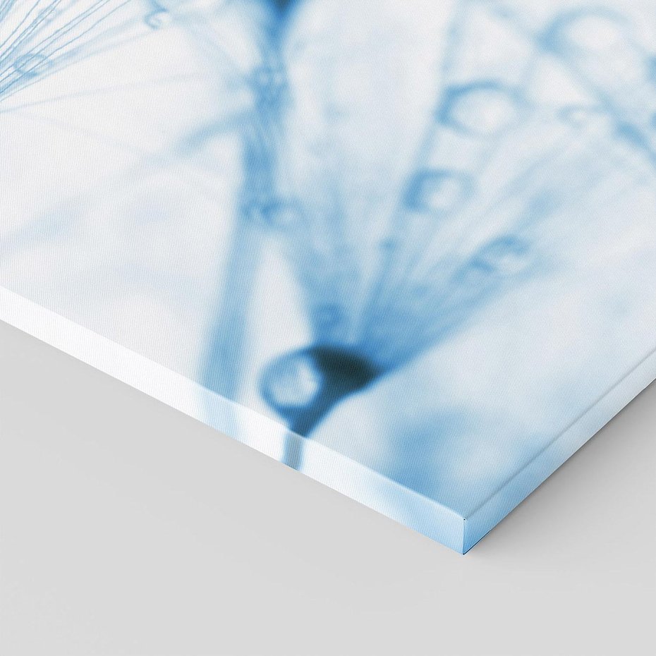 Obraz na płótnie 70x100 - Kwiat w kroplach wody - kwiat, krople