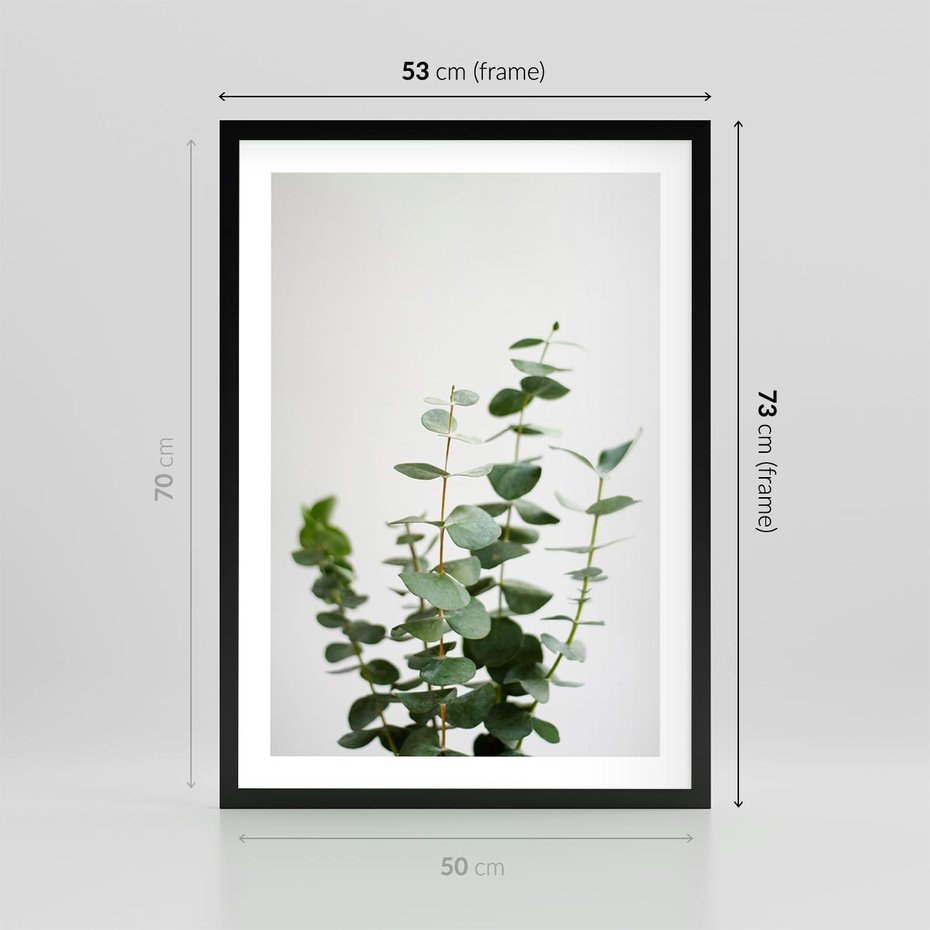 Plakat w ramie 50x70 - Żywa eukaliptusowa zieleń - eukaliptus, zielone - rama czarna