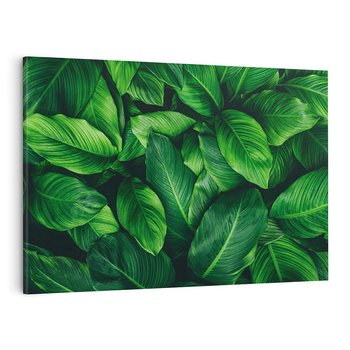 Obraz na płótnie 120x80 - Palma Liście Kwiat - palma, liście