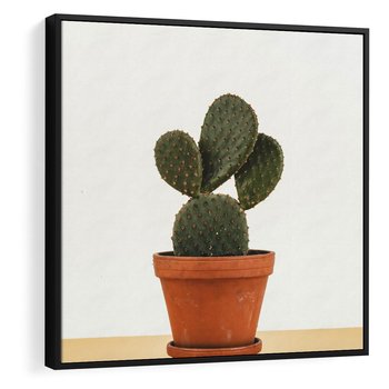 Obraz w ramie 50x50 - Kwiatowy taniec kaktusa - kaktus, kwiat - rama czarna