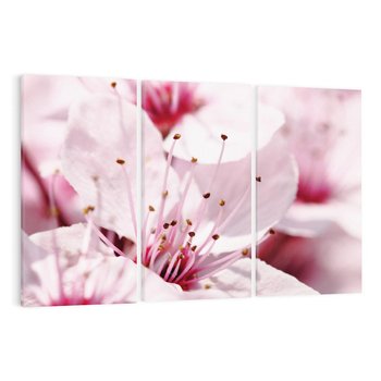 Obraz na płótnie 120x80 - Kwitnąca Wiśnia - kwiaty, kwitnąca