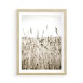 Plakat w ramie 50x70 - Nostalgiczny Pejzaż - suche trawy, pole - rama drewno