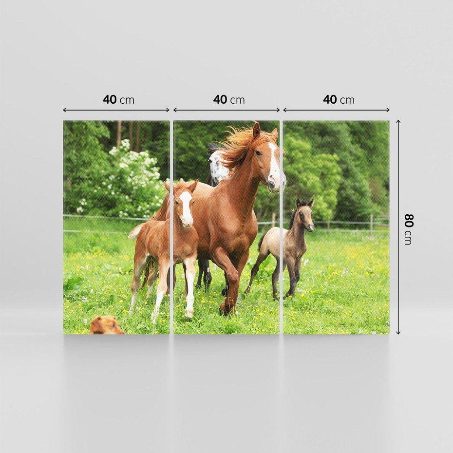 Obraz na płótnie 120x80 - Galopujące konie - konie, galop