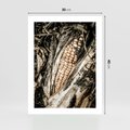Plakat bez ramy 30x40 - Kukurydza w Jesiennej Scenie - kukurydza, jesień
