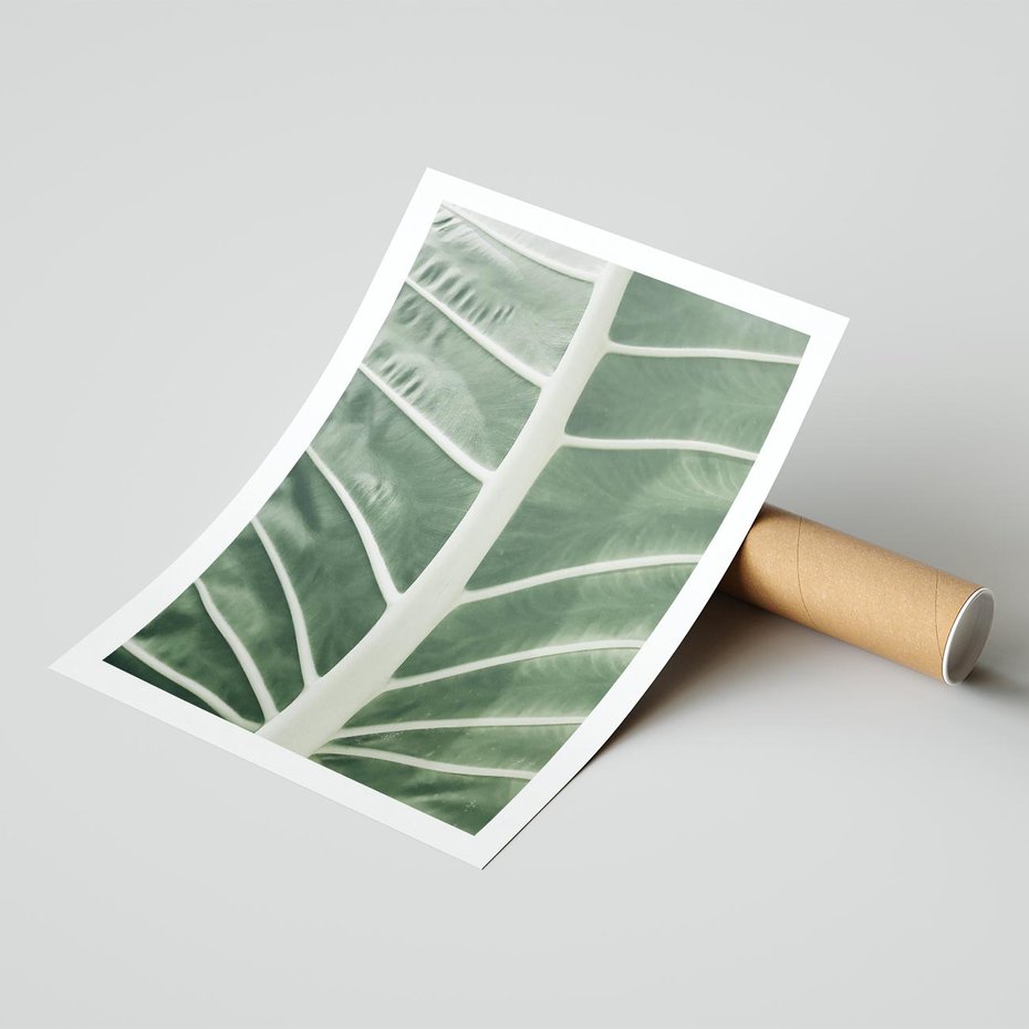 Plakat bez ramy 40x50 - Zielone Wielkości: Zbliżenie Liścia - zbliżenie duz liść, jasna zieleń