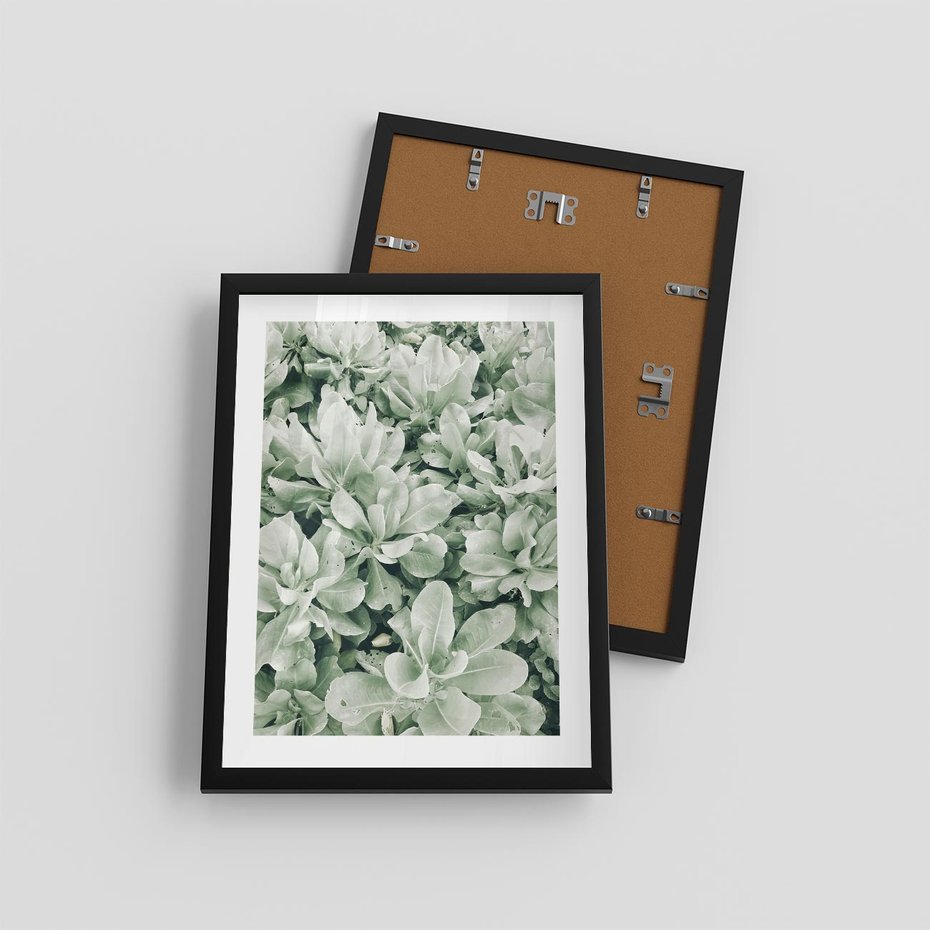 Plakat w ramie 30x40 - Liście w Jasnych Odcieniach Zielonego - liście, jasna zieleń fotografia - rama czarna