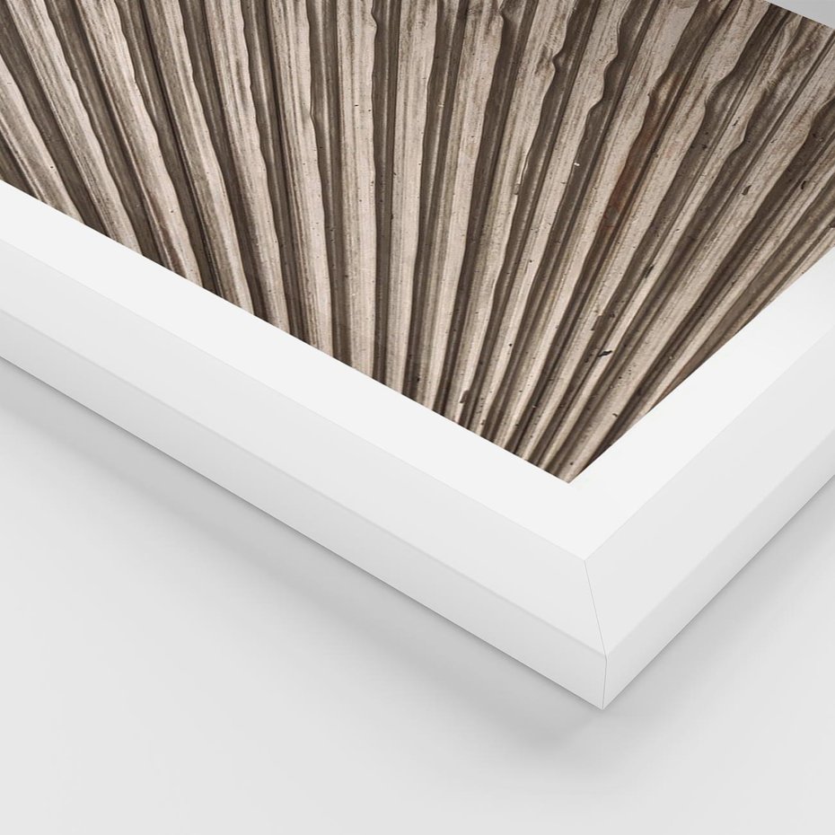 Plakat w ramie 30x40 - Liść Palmy w Wyjątkowej Kompozycji - suchy liść palmy, boho styl - rama biała