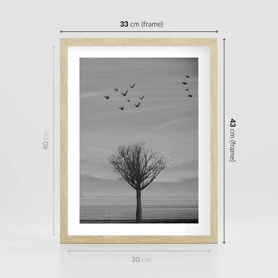 Plakat w ramie 30x40 - Samotne Drzewo - samotne drzewo w polu, czarno białe zdjęcie - rama drewno