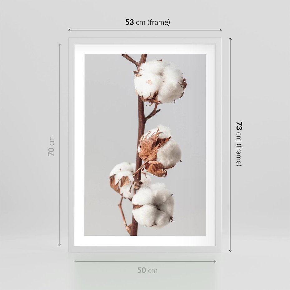 Plakat w ramie 50x70 - Spokojna Gałązka Bawełny - gałązka bawełny, prosta spokojna fotografia - rama biała